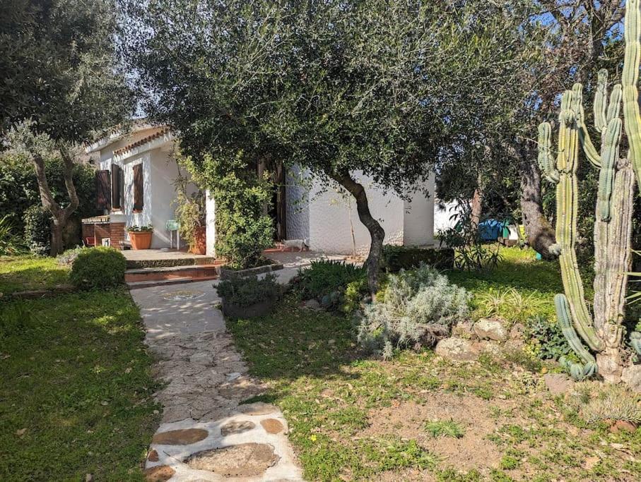 Cottage Familiare Sant'Agostino アッバザンタ エクステリア 写真