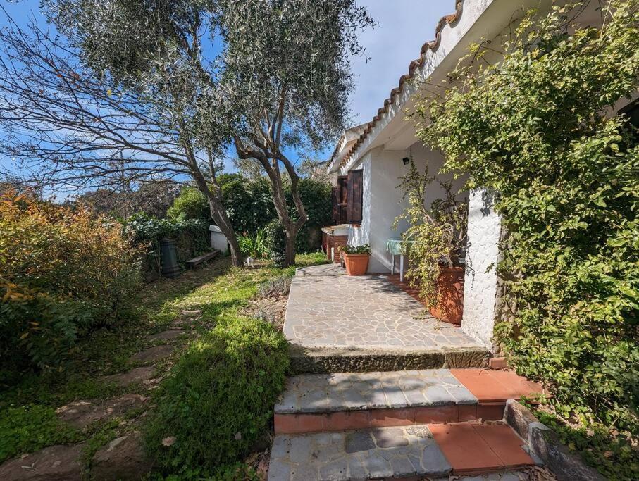 Cottage Familiare Sant'Agostino アッバザンタ エクステリア 写真